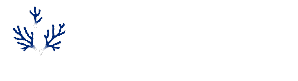 BCOM.ONE